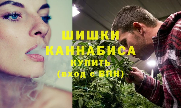 амф Заволжье
