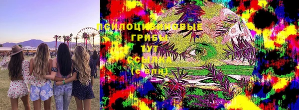 Альфа ПВП Заводоуковск