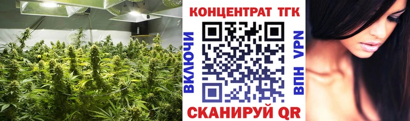 Купить где  Советский  ТГК Wax 